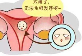 河南漯河试管婴儿费用高吗？全面解析费用明细