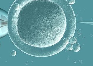 无锡904医院，无锡904医院试管婴儿费用