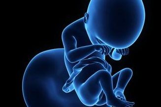 最新公布北京试管婴儿助孕医院十强