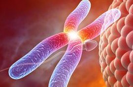 2026年从衢州到海外做试管自由行的成功率有多少？